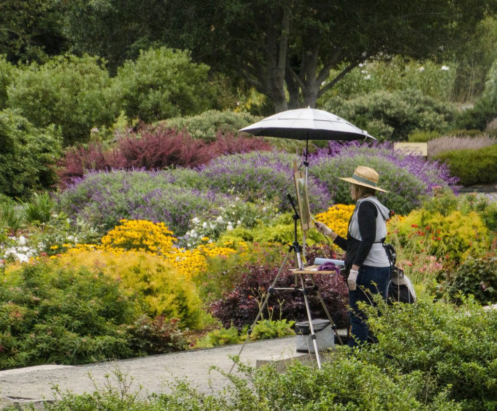 woman painting in a field of flowers