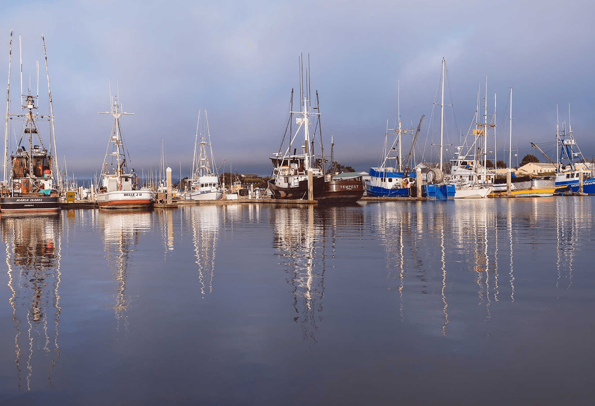 big boats in the marina with dark sky