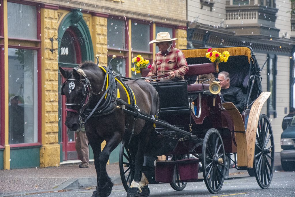 horse and carriage going along the street with bubbles