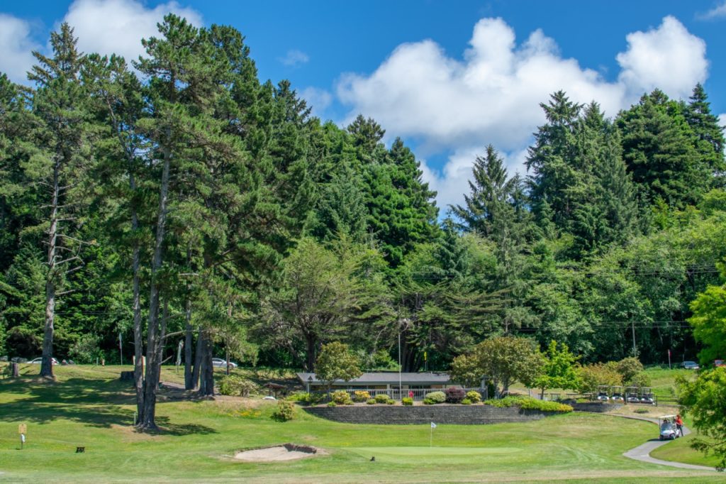 Sunny day at golf course surrounded trees