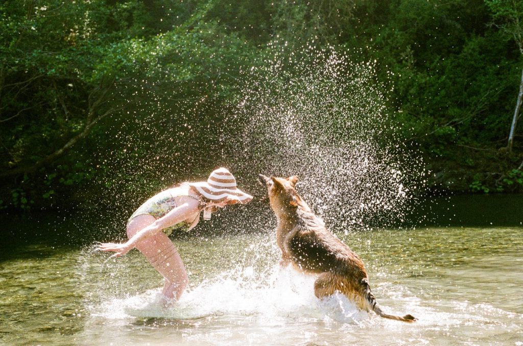 Woman and dog splashing in water on a sunny day