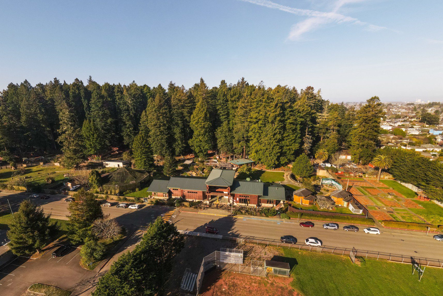 A New Fall Tradition Begins: OktoBEARfest at Sequoia Park Zoo