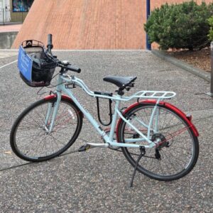 Bike Rental Full Day